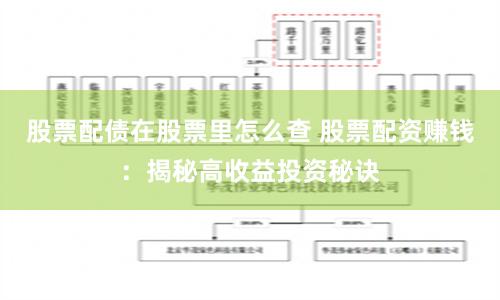 股票配债在股票里怎么查 股票配资赚钱：揭秘高收益投资秘诀