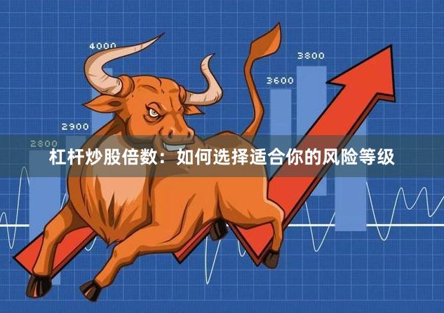 杠杆炒股倍数：如何选择适合你的风险等级