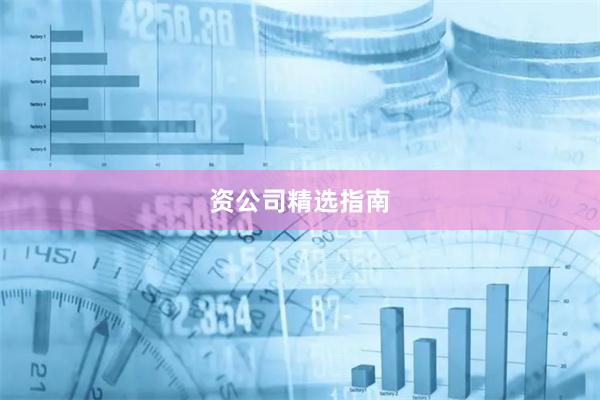 资公司精选指南
